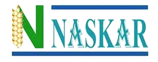 Naskar Financial Services