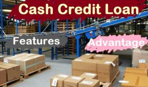 Cash Credit loan advantage