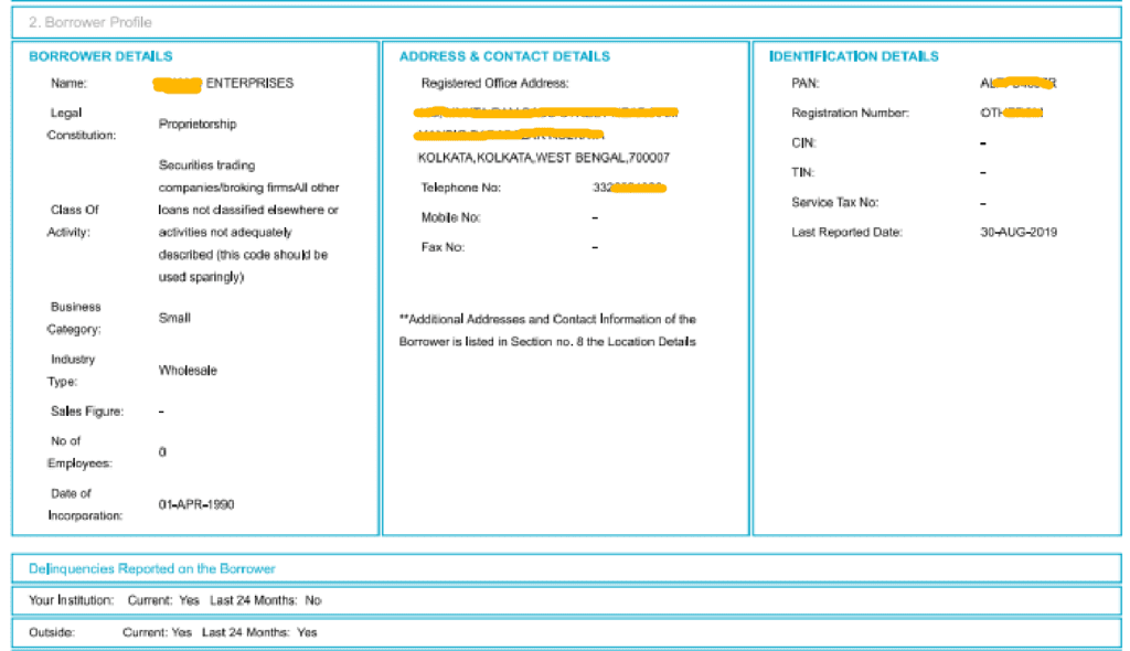 Commercial CIBIL report barrowers profile _Barrowers profile