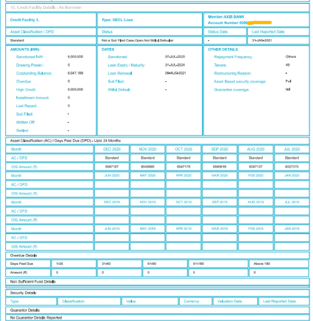 Commercial CIBIL report -Credit Facility Details Borrower