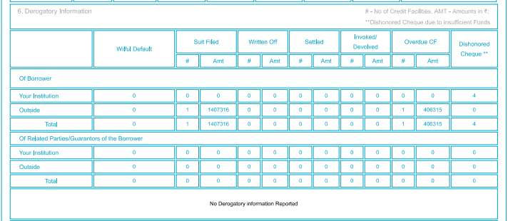 Commercial CIBIL report  _Derogatory Information