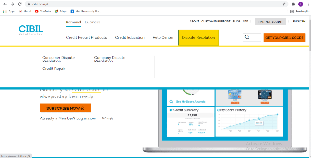 Company Credit Report- Dispute Resolution