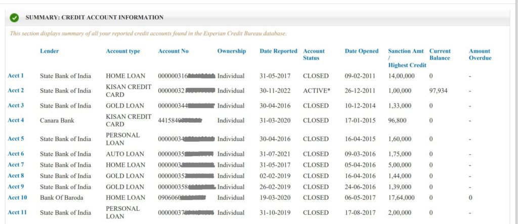 Credit account Information Summary section in Experian credit report 2