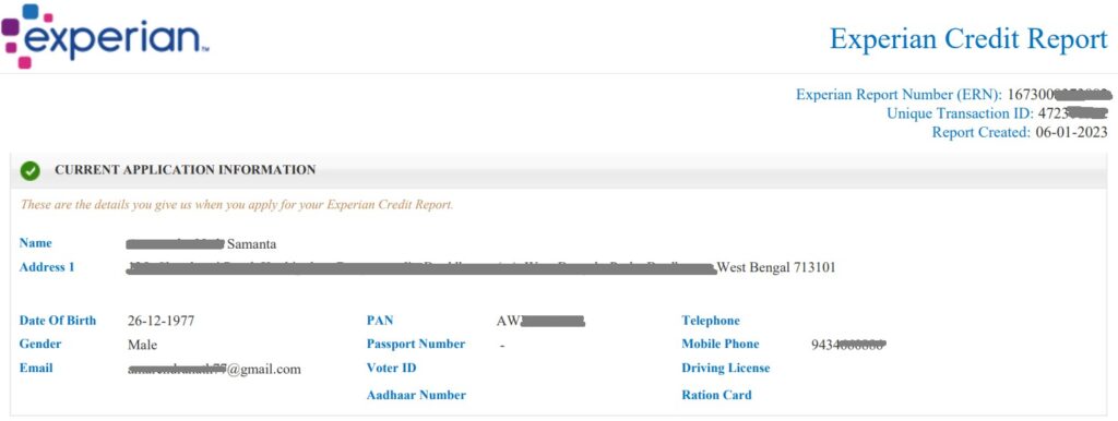 Current Application Information section in Experian credit report