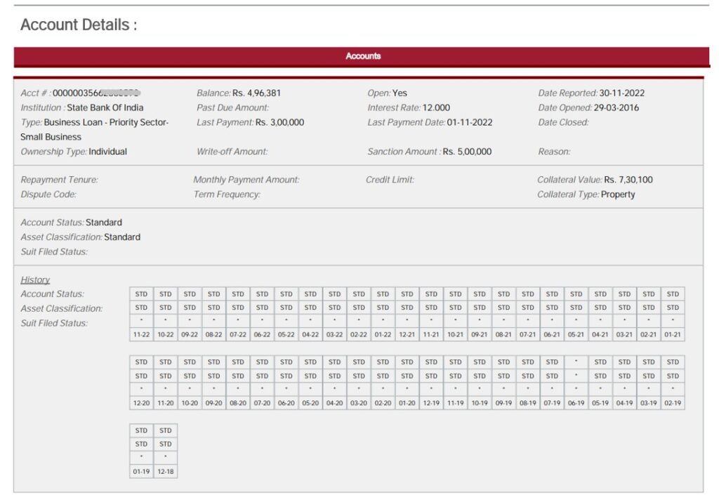 7. Equifax credit report account details