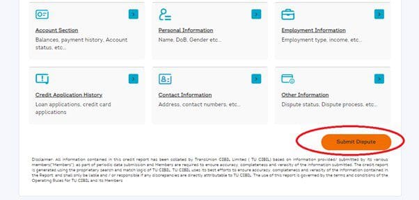 CIBIL review submit Page 1