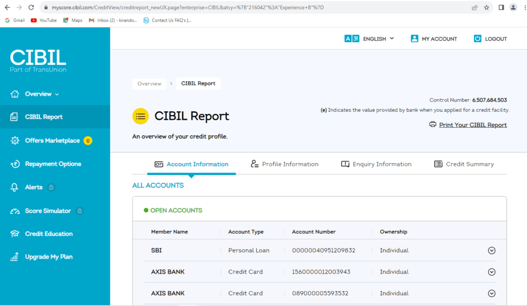 CIBIL report dashboard