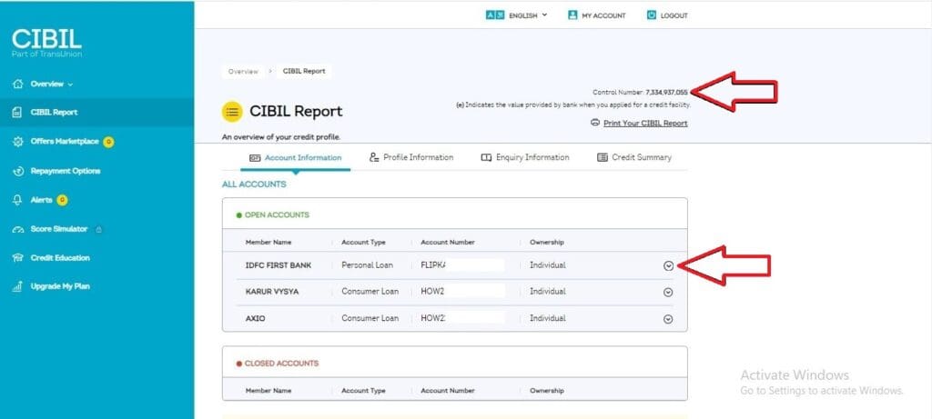 View free CIBIL Report