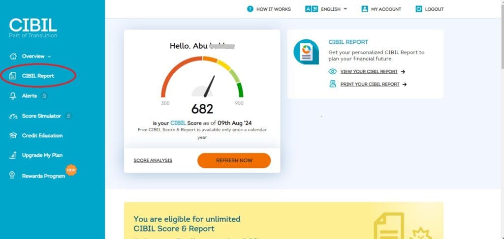 CIBIL Dashboard