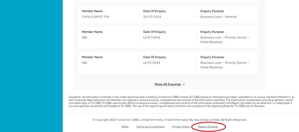 CIBIL Dashboard credit report section 2